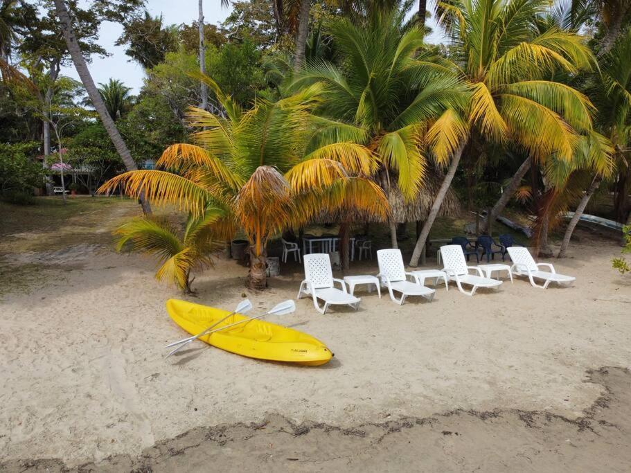 Casita Caribe En Reserva Natural, Playa Privada, Kayaks, Wifi, Aire Acondicionado San Onofre Extérieur photo