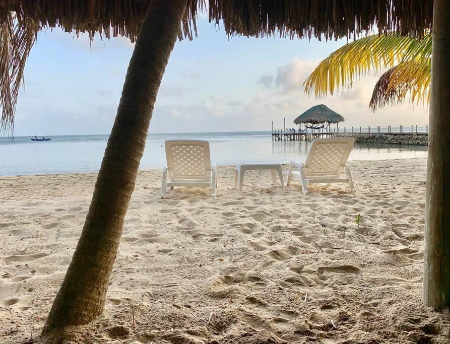 Casita Caribe En Reserva Natural, Playa Privada, Kayaks, Wifi, Aire Acondicionado San Onofre Extérieur photo