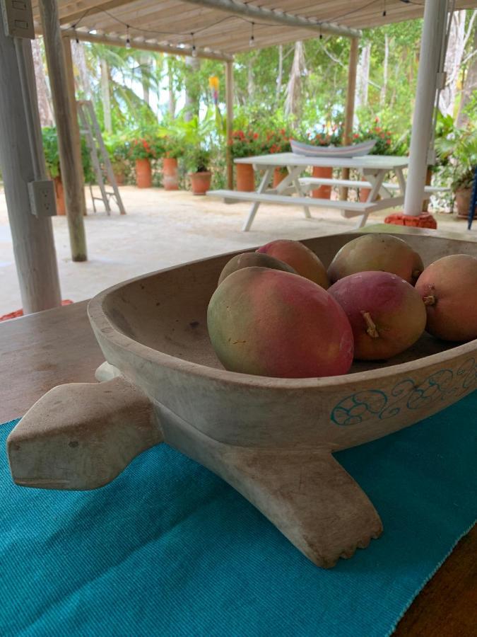 Casita Caribe En Reserva Natural, Playa Privada, Kayaks, Wifi, Aire Acondicionado San Onofre Extérieur photo
